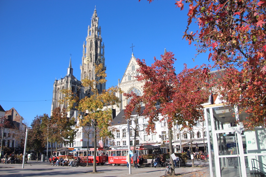 Antwerpens Wahrzeichen, der Dom, aus der Ansicht vom Groen Plaats aus.