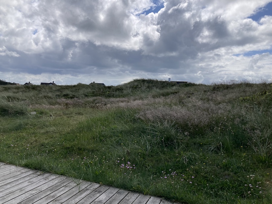 Die Dünen vor der Terrasse